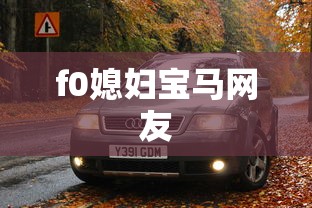 f0媳妇宝马网友  第1张