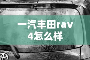 一汽丰田rav4怎么样  第1张
