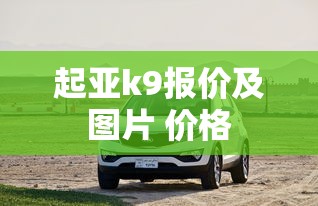 起亚k9报价及图片 价格  第1张