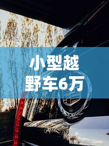 保姆车价格及图片  第1张