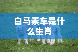 白马素车是什么生肖  第1张