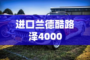 进口兰德酷路泽4000  第1张
