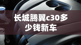 长城腾翼c30多少钱新车  第1张