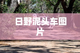 日野泥头车图片  第1张