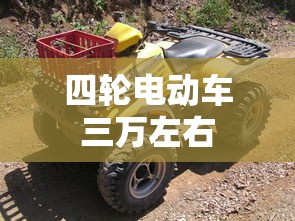 四轮电动车三万左右  第1张