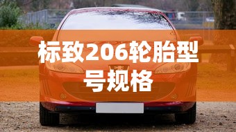 标致206轮胎型号规格  第1张