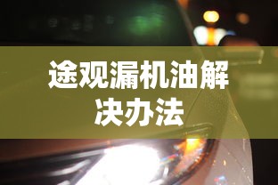途观漏机油解决办法  第1张