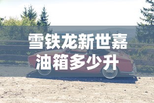 雪铁龙新世嘉油箱多少升  第1张