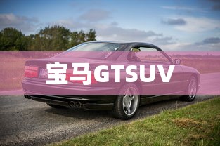 宝马GTSUV  第1张