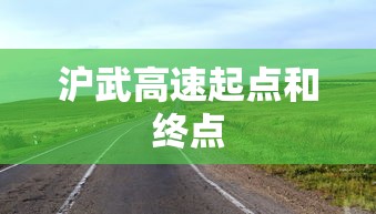沪武高速起点和终点  第1张