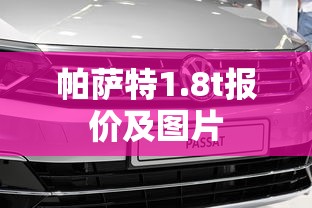 帕萨特1.8t报价及图片  第1张