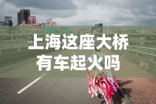 上海这座大桥有车起火吗  第1张