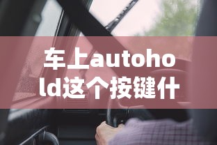车上autohold这个按键什么功能  第1张
