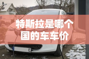 特斯拉是哪个国的车车价  第1张