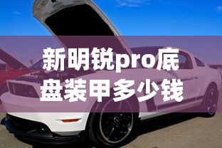 新明锐pro底盘装甲多少钱  第1张