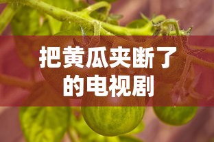 把黄瓜夹断了的电视剧  第1张