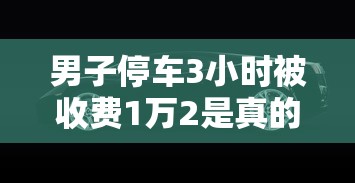 男子停车3小时被收费1万2是真的吗  第1张