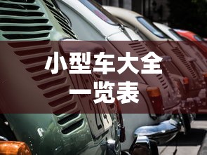 小型车大全一览表  第1张