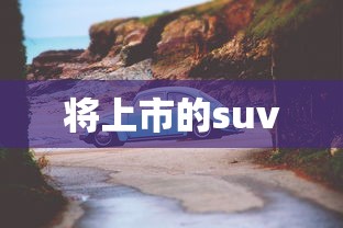将上市的suv  第1张
