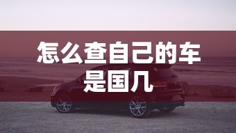 怎么查自己的车是国几  第1张