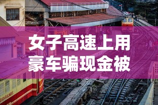 女子高速上用豪车骗现金被摁倒视频  第1张