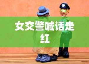 女交警喊话走红  第1张