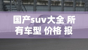 洛克王国武道会免费观看  第1张