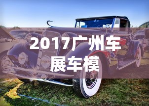 2017广州车展车模  第1张
