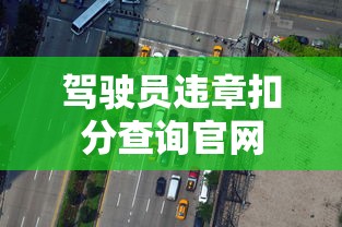 驾驶员违章扣分查询官网  第1张