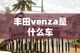 丰田venza是什么车  第1张