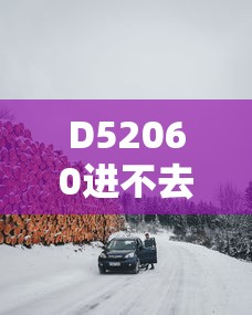 D52060进不去场景  第1张