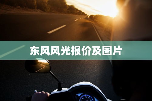 东风风光报价及图片  第1张