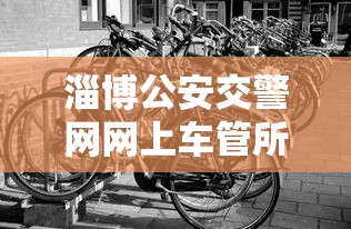 淄博公安交警网网上车管所查询  第1张