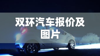双环汽车报价及图片  第1张