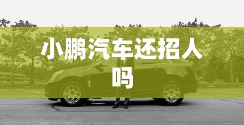小鹏汽车还招人吗  第1张