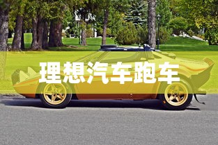 理想汽车跑车  第1张