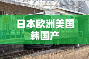 日本欧洲美国韩国产  第1张