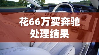 花66万买奔驰处理结果  第1张