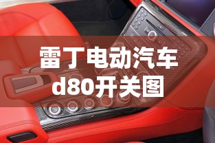 雷丁电动汽车d80开关图  第1张