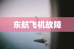 东航飞机故障  第1张