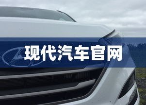 现代汽车官网  第1张
