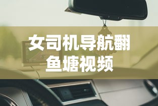 女司机导航翻鱼塘视频  第1张