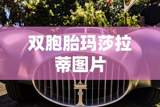 双胞胎玛莎拉蒂图片  第1张