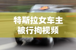 特斯拉女车主被行拘视频  第1张