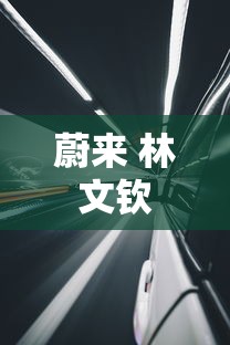 蔚来 林文钦  第1张