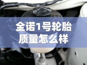 全诺1号轮胎质量怎么样  第1张