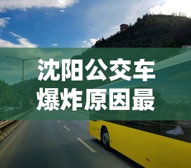 沈阳公交车爆炸原因最新消息  第1张