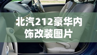 吴秀波老婆何震亚个人资料  第1张