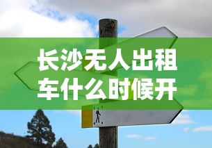 长沙无人出租车什么时候开始运营  第1张