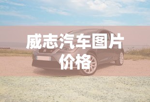 威志汽车图片价格  第1张